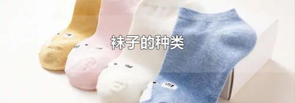 袜子的种类