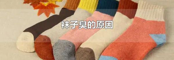 袜子臭的原因