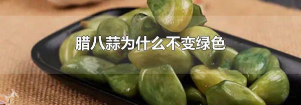 腊八蒜为什么不变绿色
