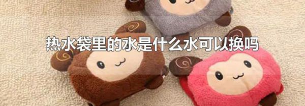 热水袋里的水是什么水可以换吗