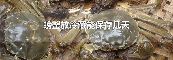 螃蟹放冷藏能保存几天
