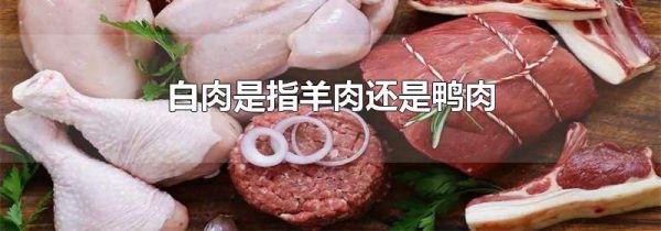 白肉是指羊肉还是鸭肉