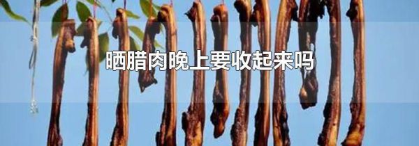 晒腊肉晚上要收起来吗