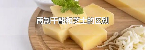再制干酪和芝士的区别