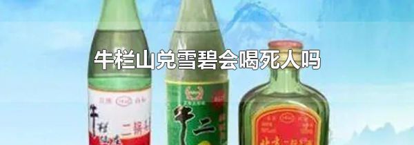 牛栏山兑雪碧会喝死人吗