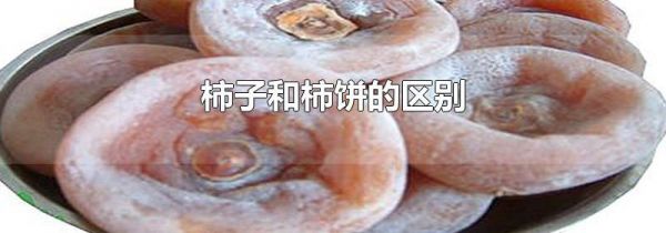 柿子和柿饼的区别