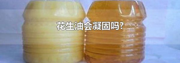 花生油会凝固吗?