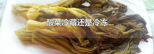 酸菜冷藏还是冷冻