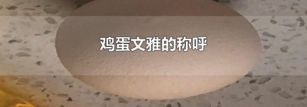 鸡蛋文雅的称呼