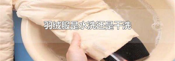 羽绒服是水洗还是干洗