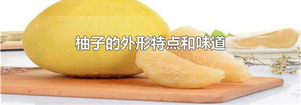 柚子的外形特点和味道