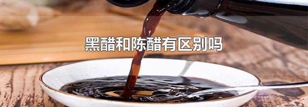 黑醋和陈醋有区别吗