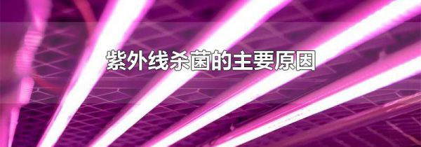 紫外线杀菌的主要原因