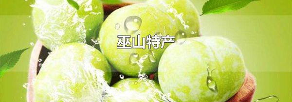 巫山特产