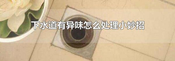 下水道有异味怎么处理小妙招