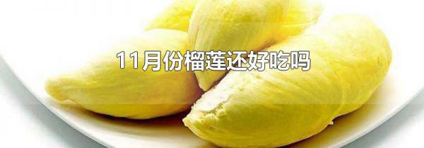 11月份榴莲还好吃吗