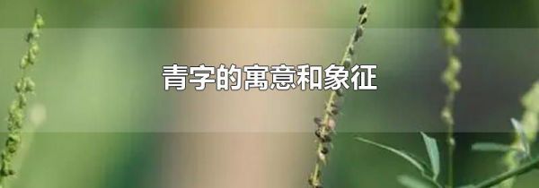 青字的寓意和象征