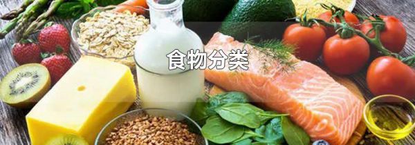 食物分类