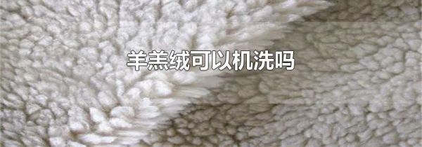 羊羔绒可以机洗吗