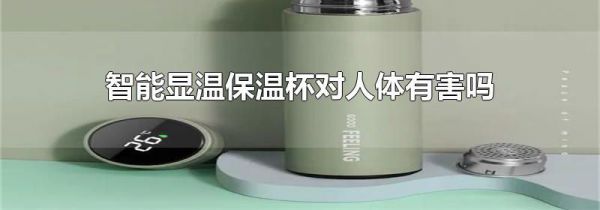 智能显温保温杯对人体有害吗
