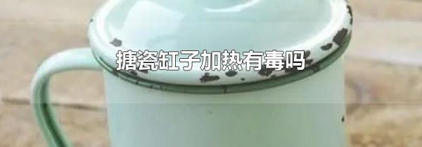 搪瓷缸子加热有毒吗
