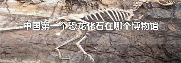 中国第一个恐龙化石在哪个博物馆