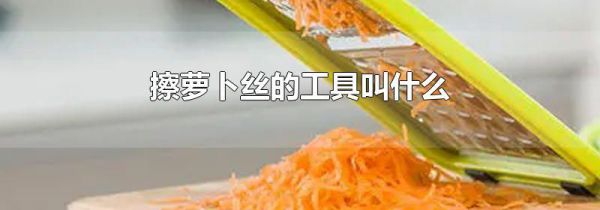 擦萝卜丝的工具叫什么