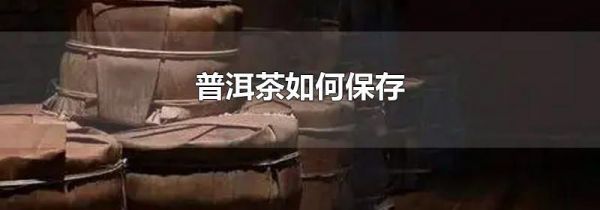 普洱茶如何保存