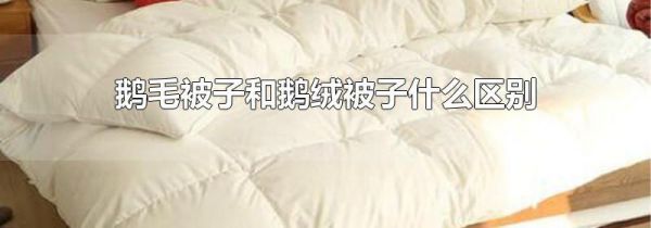 鹅毛被子和鹅绒被子什么区别