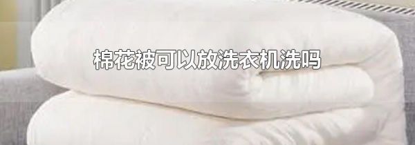 棉花被可以放洗衣机洗吗