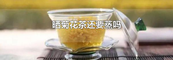 晒菊花茶还要蒸吗