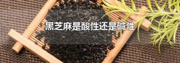 黑芝麻是酸性还是碱性