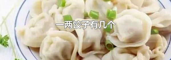 一两饺子有几个