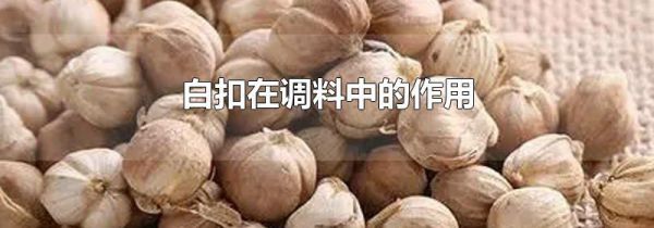 白扣在调料中的作用