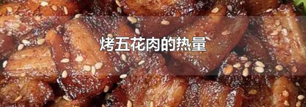 烤五花肉的热量