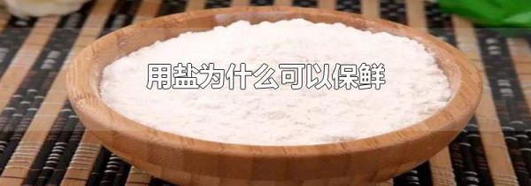 用盐为什么可以保鲜