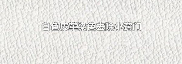 白色皮革染色去除小窍门