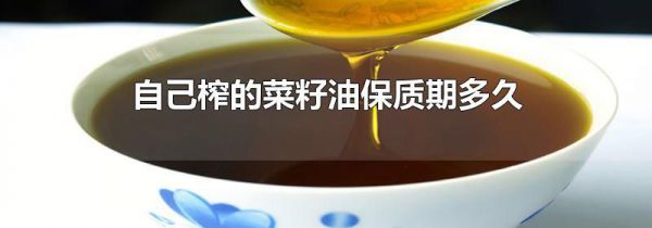 自己榨的菜籽油保质期多久