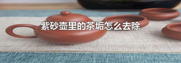 紫砂壶里的茶垢怎么去除