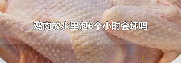 鸡肉放水里泡6个小时会坏吗