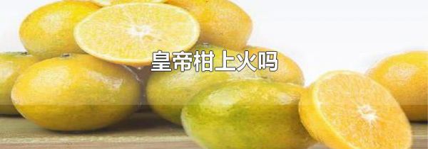 皇帝柑上火吗