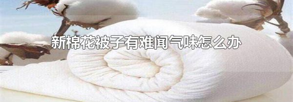 新棉花被子有难闻气味怎么办