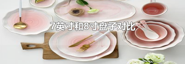 7英寸和8寸盘子对比