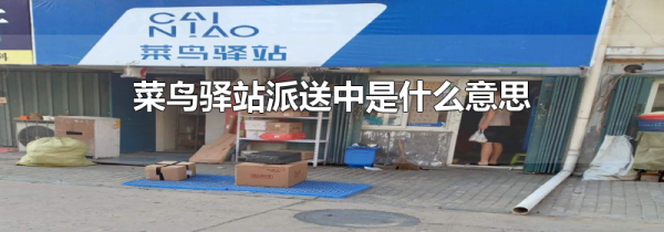 菜鸟驿站派送中是什么意思