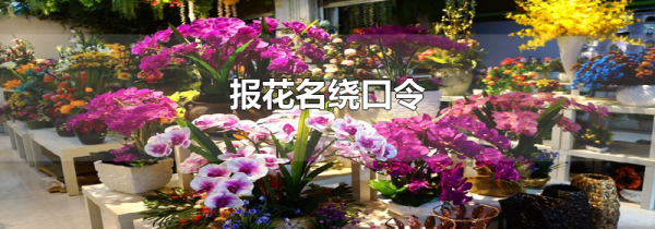 报花名绕口令