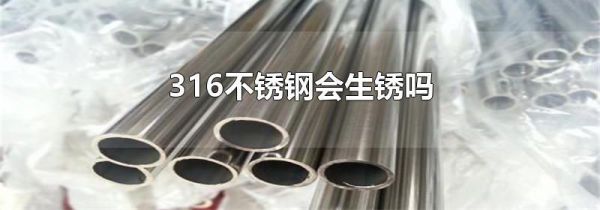 316不锈钢会生锈吗