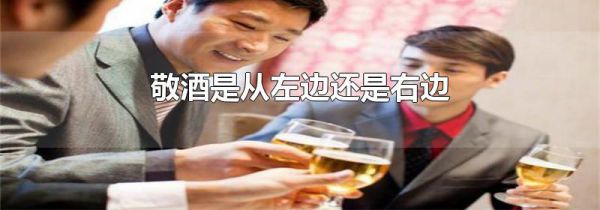 敬酒是从左边还是右边