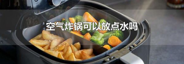 空气炸锅可以放点水吗