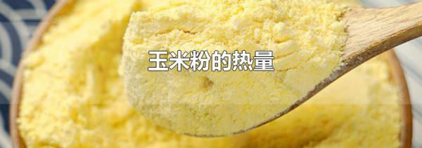 玉米粉的热量