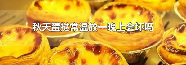 秋天蛋挞常温放一晚上会坏吗